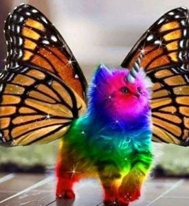 Meet your Posher, Deanna